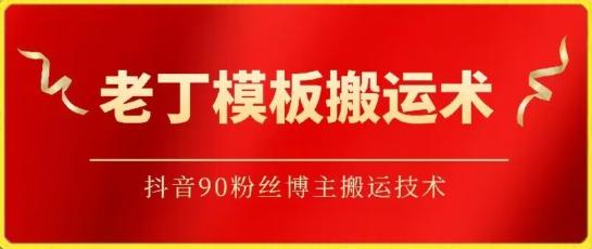 老丁模板搬运术：抖音90万粉丝博主搬运技术【揭秘】-天韵资源网