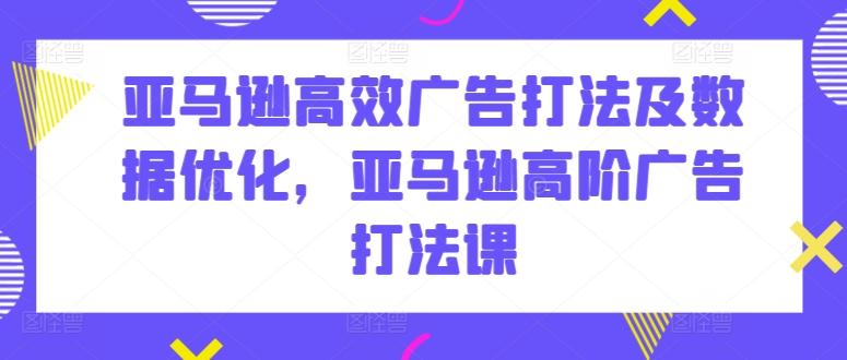 亚马逊高效广告打法及数据优化，亚马逊高阶广告打法课-天韵资源网