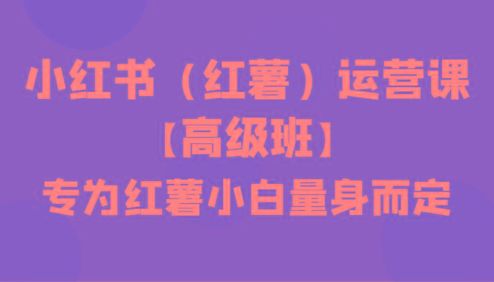 小红书(红薯)运营课【高级班】，专为红薯小白量身而定(42节课)-天韵资源网