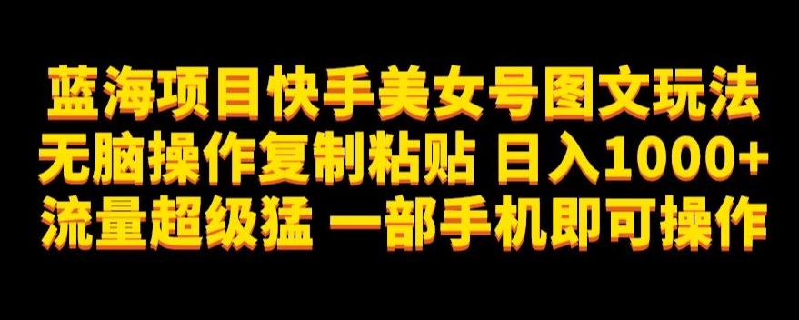 蓝海项目快手美女号图文玩法，无脑操作复制粘贴，日入1000+流量超级猛一部手机即可操作【揭秘】-天韵资源网