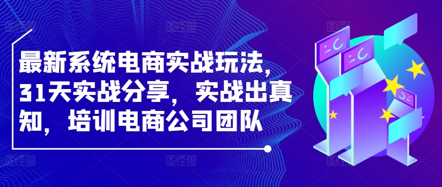 最新系统电商实战玩法，31天实战分享，实战出真知，培训电商公司团队-天韵资源网