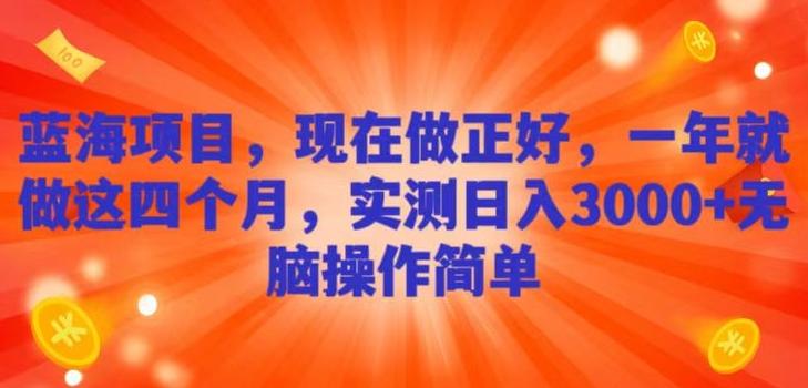蓝海项目，现在做正好，一年就做这4个月，实测日入3000+，无脑简单操作！-天韵资源网