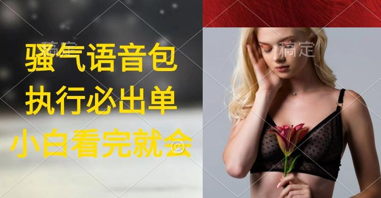 (9589期)执行就出单，日入2000+，超火骚气语音包，小白看完课程就能马上实操-天韵资源网
