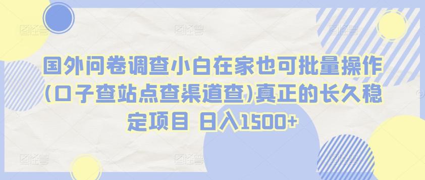 国外问卷调查小白在家也可批量操作(口子查站点查渠道查)真正的长久稳定项目 日入1500+【揭秘】-天韵资源网