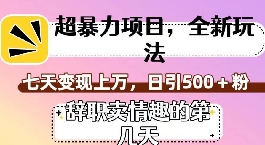 超暴利项目，全新玩法（辞职卖情趣的第几天），七天变现上万，日引500+粉【揭秘】-天韵资源网