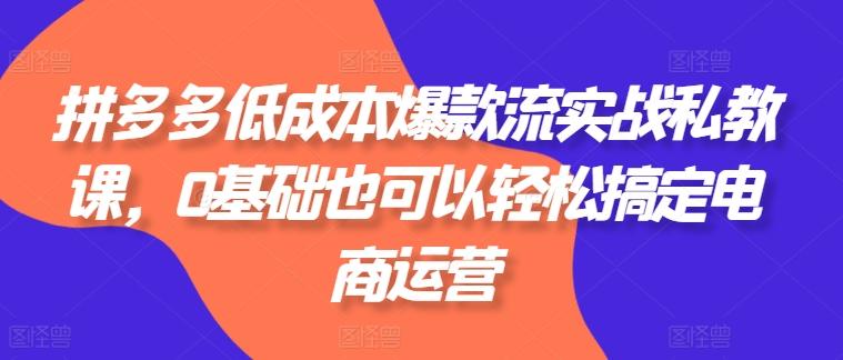 拼多多低成本爆款流实战私教课，0基础也可以轻松搞定电商运营-天韵资源网