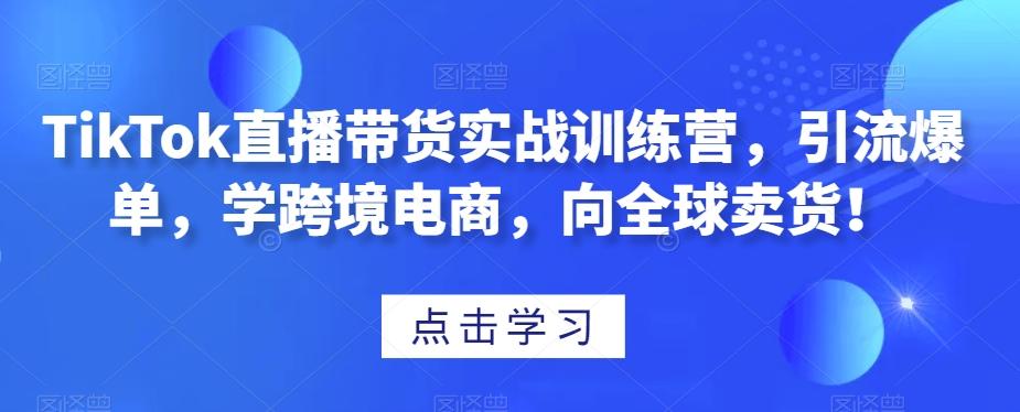 TikTok直播带货实战训练营，引流爆单，学跨境电商，向全球卖货！-天韵资源网