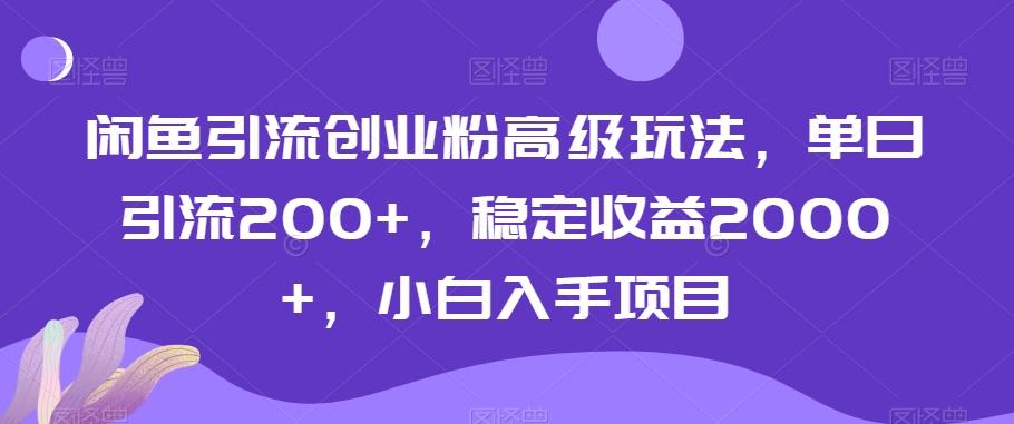 闲鱼引流创业粉高级玩法，单日引流200+，稳定收益2000+，小白入手项目-天韵资源网
