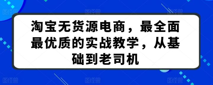 淘宝无货源电商，最全面最优质的实战教学，从基础到老司机-天韵资源网