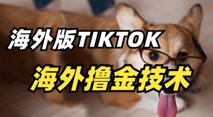 抖音海外版tiktok撸金技术，这个风口行业，赚钱真的不难【揭秘】-天韵资源网