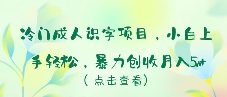 冷门成人识字项目，小白上手轻松，暴力创收月入5w+【揭秘】-天韵资源网
