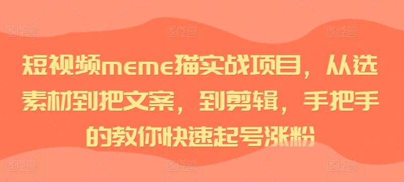 短视频meme猫实战项目，从选素材到把文案，到剪辑，手把手的教你快速起号涨粉-天韵资源网