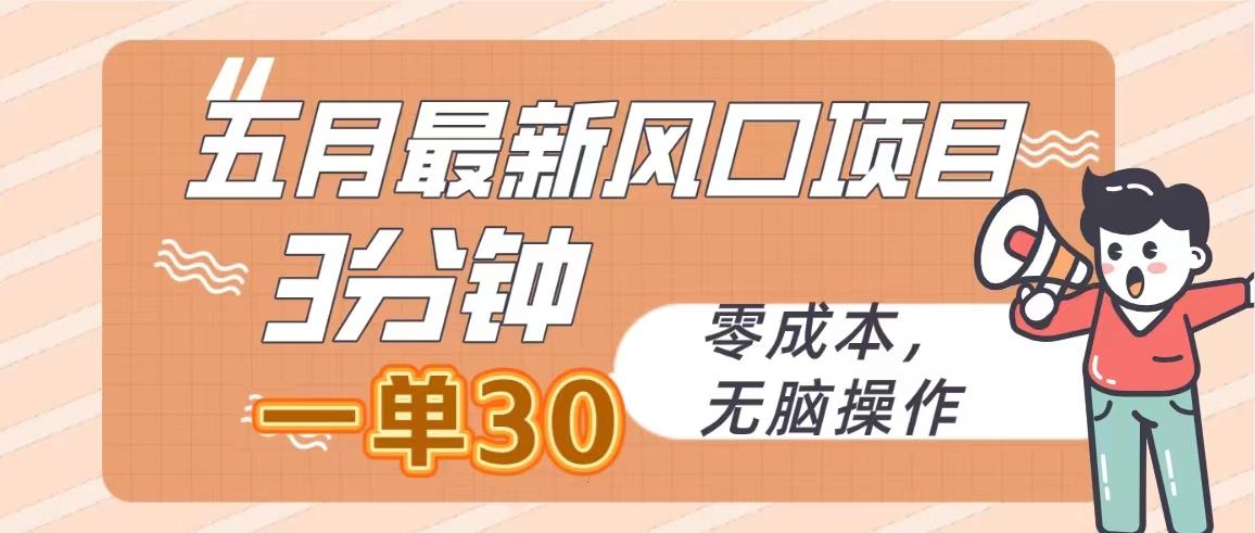五月最新风口项目，3分钟一单30，零成本，无脑操作-天韵资源网