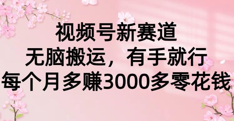 (9278期)视频号新赛道，无脑搬运，有手就行，每个月多赚3000多零花钱-天韵资源网