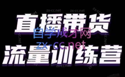 婉婉·直播带货课程系列合集(更新8月)-天韵资源网