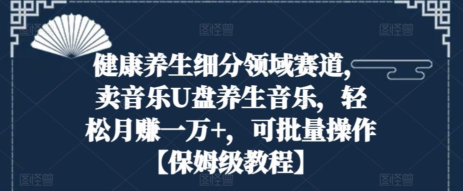 健康养生细分领域赛道，卖音乐U盘养生音乐，轻松月赚一万+，可批量操作【保姆级教程】-天韵资源网