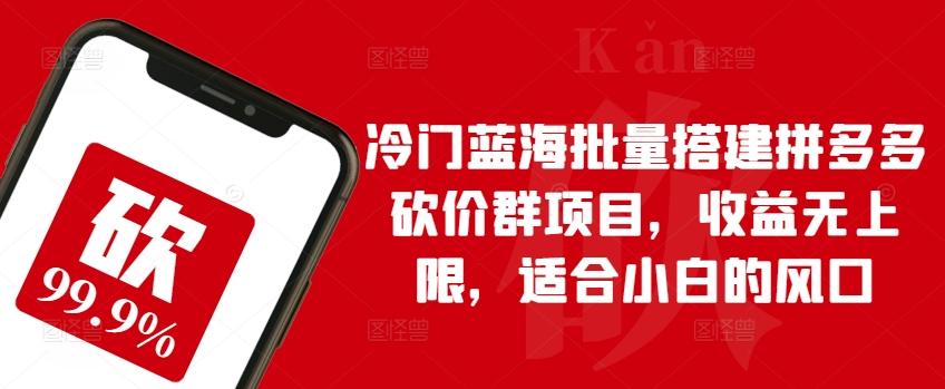 冷门蓝海批量搭建拼多多砍价群项目，收益无上限，适合小白的风口【揭秘】-天韵资源网