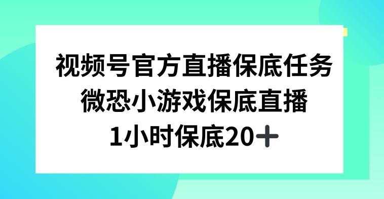 视频号直播任务，微恐小游戏，1小时20+【揭秘】-天韵资源网