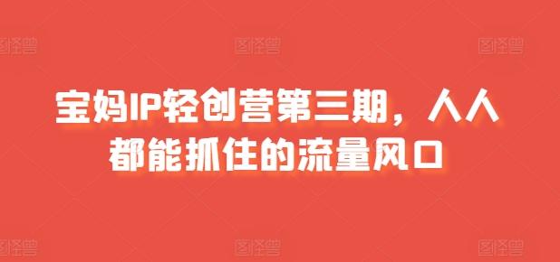 宝妈IP轻创营第三期，人人都能抓住的流量风口-天韵资源网