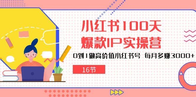 小红书100天-爆款IP实操营，0到1做高价值小红书号 每月多赚3000+(16节-天韵资源网