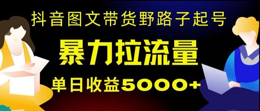 抖音图文带货暴力起号，单日收益5000+，野路子玩法，简单易上手，一部手机即可【揭秘】-天韵资源网