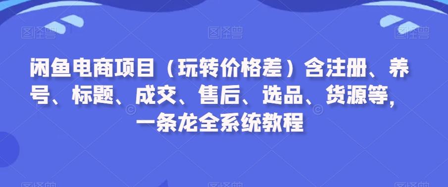 闲鱼电商项目(玩转价格差)含注册、养号、标题、成交、售后、选品、货源等，一条龙全系统教程-天韵资源网