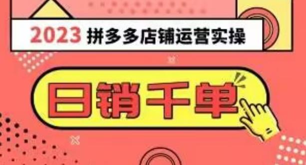 2023拼多多运营实操，每天30分钟日销1000＋，爆款选品技巧大全（10节课）-天韵资源网