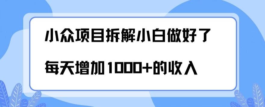 小众项目拆解，小白做好了每天可增加1000多的收入-天韵资源网