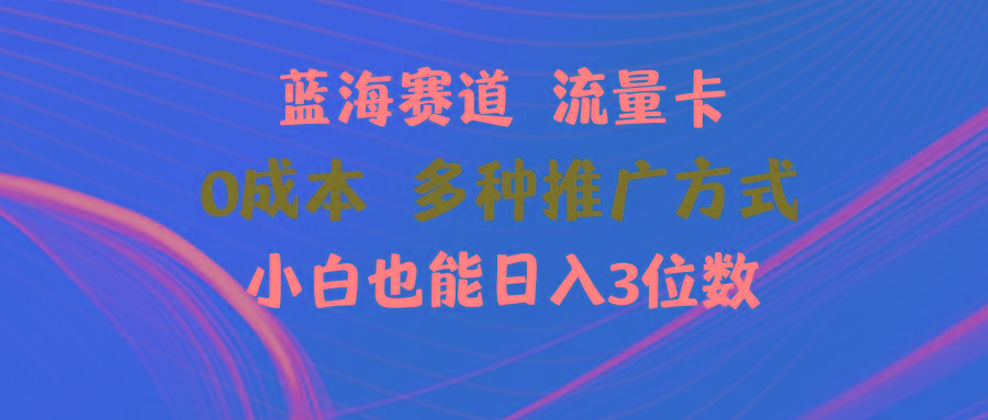 蓝海赛道 流量卡 0成本 小白也能日入三位数-天韵资源网