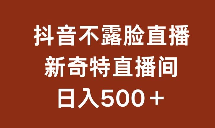 不露脸挂机直播，新奇特直播间，日入500+【揭秘】-天韵资源网