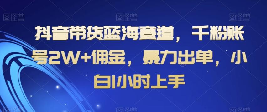 抖音带货蓝海赛道，千粉账号2W+佣金，暴力出单，小白1小时上手【揭秘】-天韵资源网