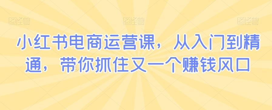 小红书电商运营课，从入门到精通，带你抓住又一个赚钱风口-天韵资源网