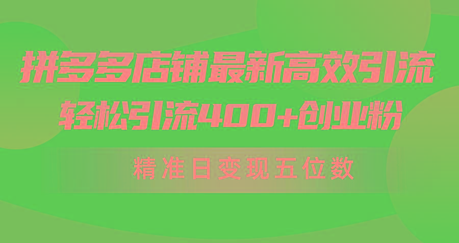 (10041期)拼多多店铺最新高效引流术，轻松引流400+创业粉，精准日变现五位数！-天韵资源网