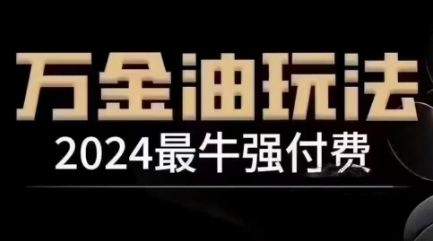 2024最牛强付费，万金油强付费玩法，干货满满，全程实操起飞-天韵资源网