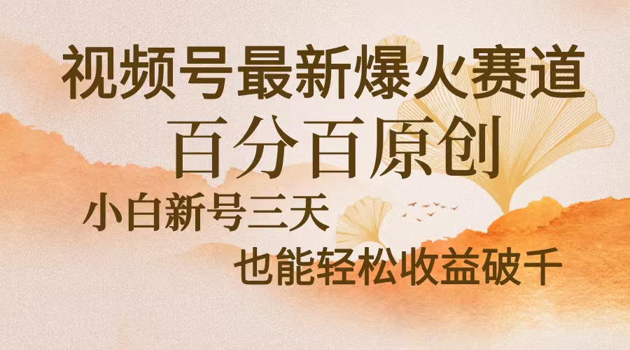 视频号最新爆火赛道，中老年粉深信不疑，百分百原创，新号三天收益轻松…-天韵资源网