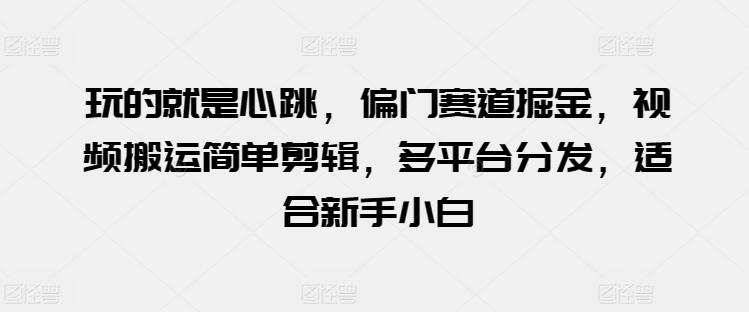 玩的就是心跳，偏门赛道掘金，视频搬运简单剪辑，多平台分发，适合新手小白【揭秘】-天韵资源网