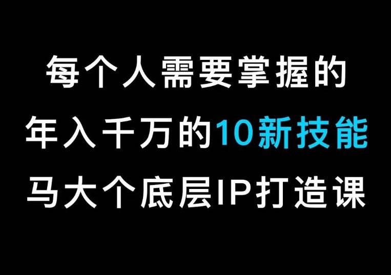 马大个的IP底层逻辑课，​每个人需要掌握的年入千万的10新技能，约会底层IP打造方法！-天韵资源网