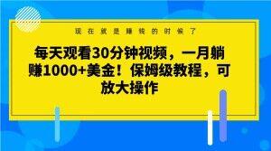 每天观看30分钟视频，一月躺赚1000+美金！保姆级教程，可放大操作【揭秘】-天韵资源网