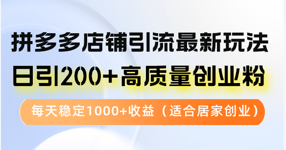 拼多多店铺引流最新玩法，日引200+高质量创业粉，每天稳定1000+收益(…-天韵资源网
