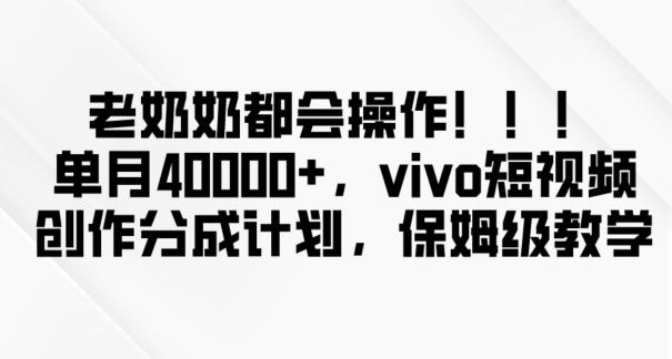 老奶奶都会操作，新平台无脑操作，单月40000+，vivo短视频创作分成计划【揭秘】-天韵资源网