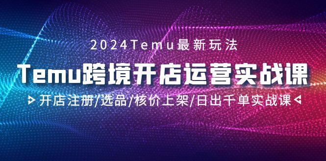 2024Temu跨境开店运营实战课，开店注册/选品/核价上架/日出千单实战课-天韵资源网