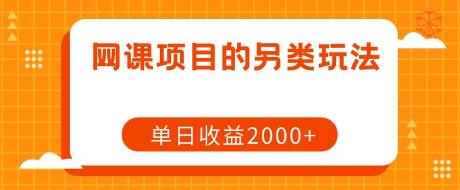 网课项目的另类玩法,单日收益2000+【揭秘】-天韵资源网