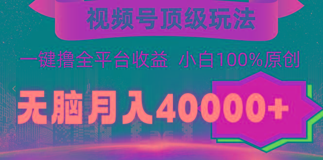 (9281期)视频号顶级玩法，无脑月入40000+，一键撸全平台收益，纯小白也能100%原创-天韵资源网