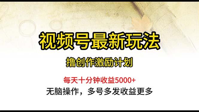 视频号最新玩法，每日一小时月入5000+-天韵资源网