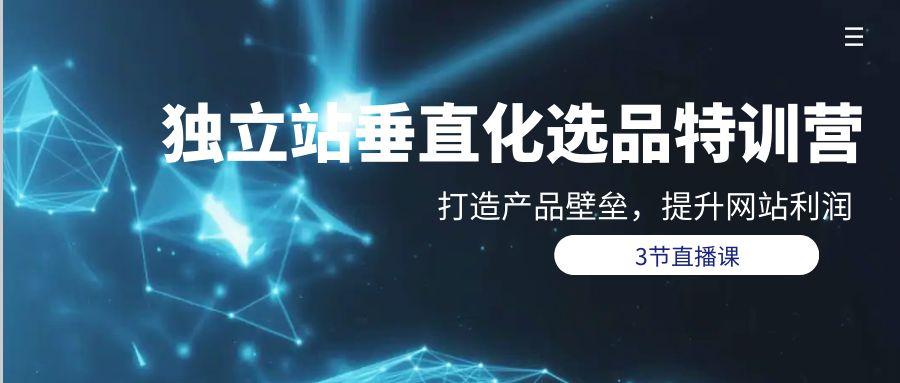(9925期)独立站-垂直化选品训练营，打造产品壁垒，提升网站利润(3节直播课)-天韵资源网