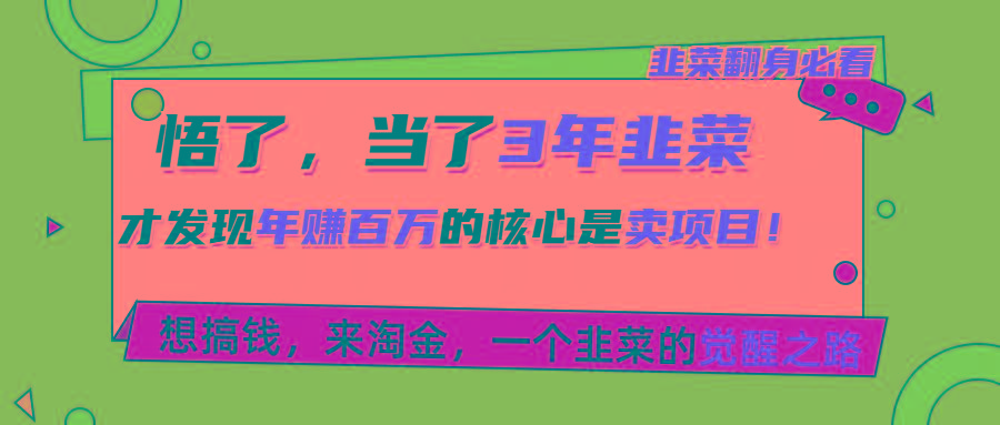 悟了，当了3年韭菜，才发现网赚圈年赚100万的核心是卖项目，含泪分享！-天韵资源网