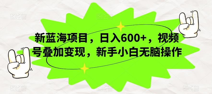 新蓝海项目，日入600+，视频号叠加变现，新手小白无脑操作【揭秘】-天韵资源网