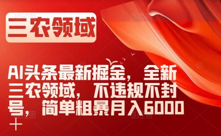 AI头条最新掘金，全新三农领域，不违规不封号，简单粗暴月入6000＋【揭秘】-天韵资源网
