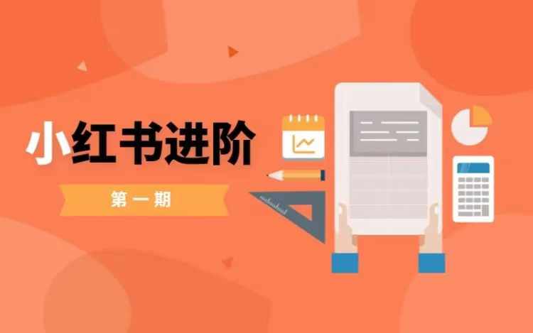 小红书进阶篇，零基础小白实战课，普通人变现的课程-天韵资源网