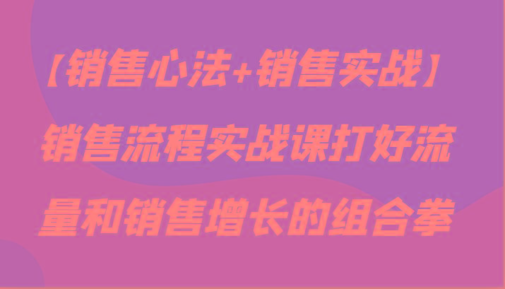 【销售心法+销售实战】销售流程实战课打好流量和销售增长的组合拳-天韵资源网